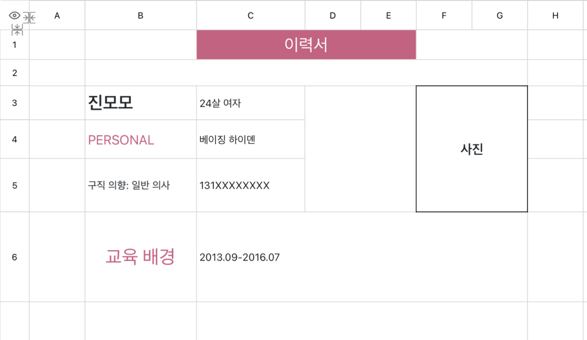 의사 구직 이력서